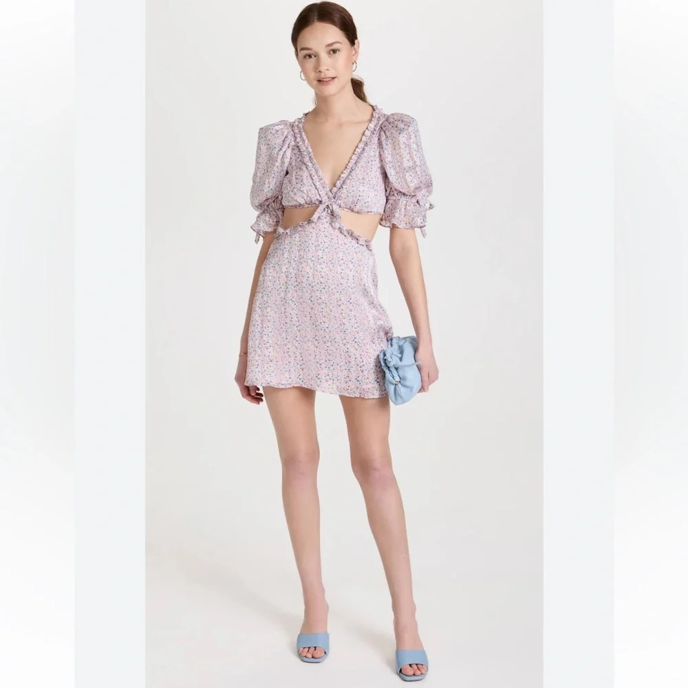 NWT PHOEBE FLORAL-PRINT CUTOUT SATIN CHIFFON MINI DRESS - Picture 3 of 5